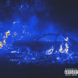 Cover of pain.