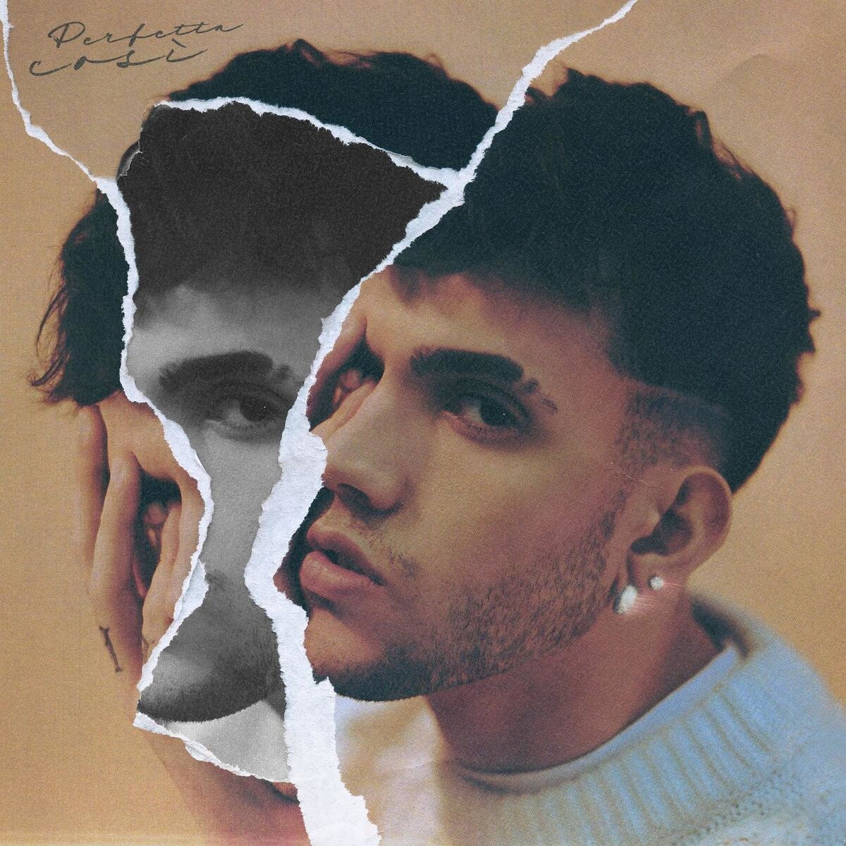 Album cover of Perfetta Così