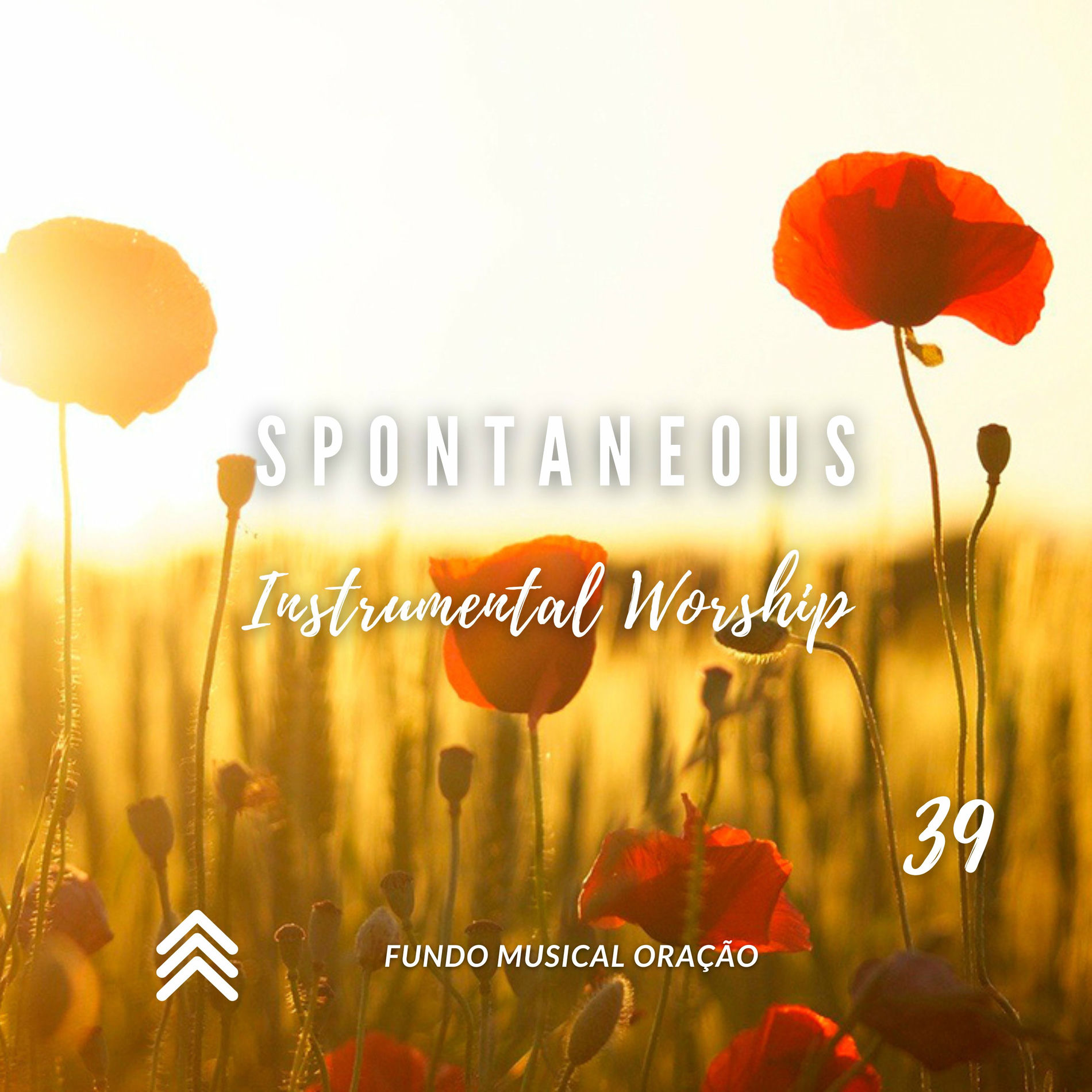 Album cover of Spontaneous Instrumental Worship 39