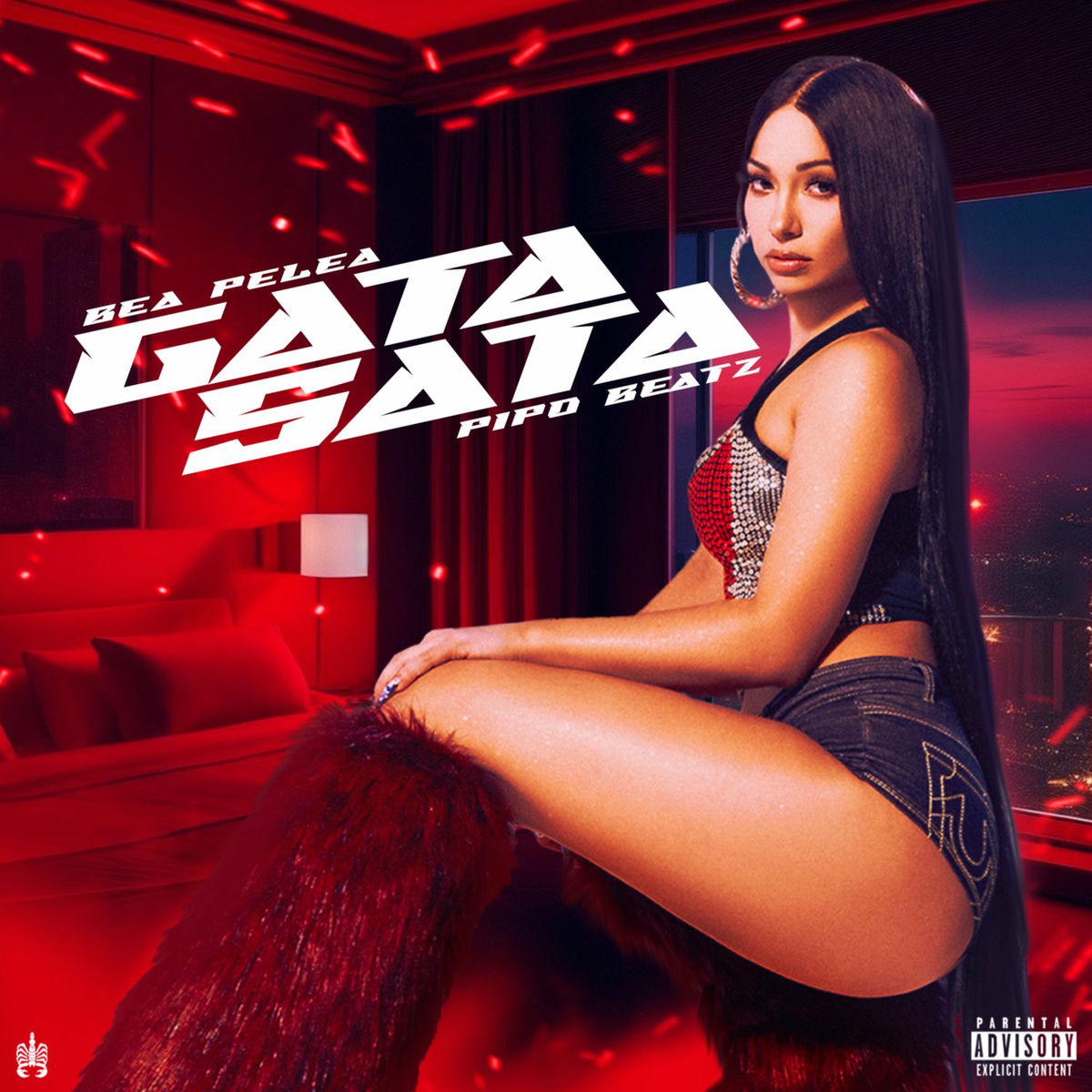 Album cover of Gata Sata