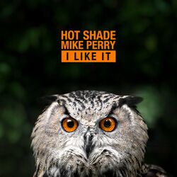 Cover of I Like it