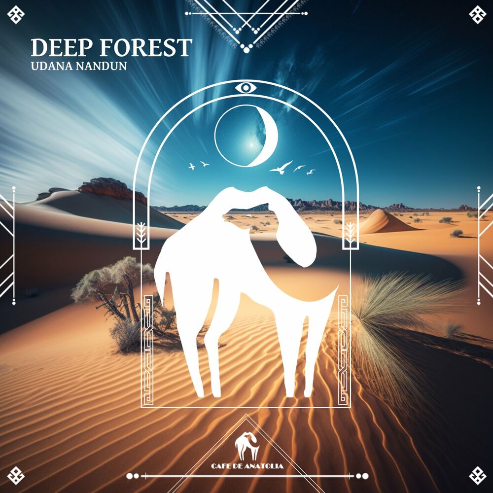 Picture of Deep Forest