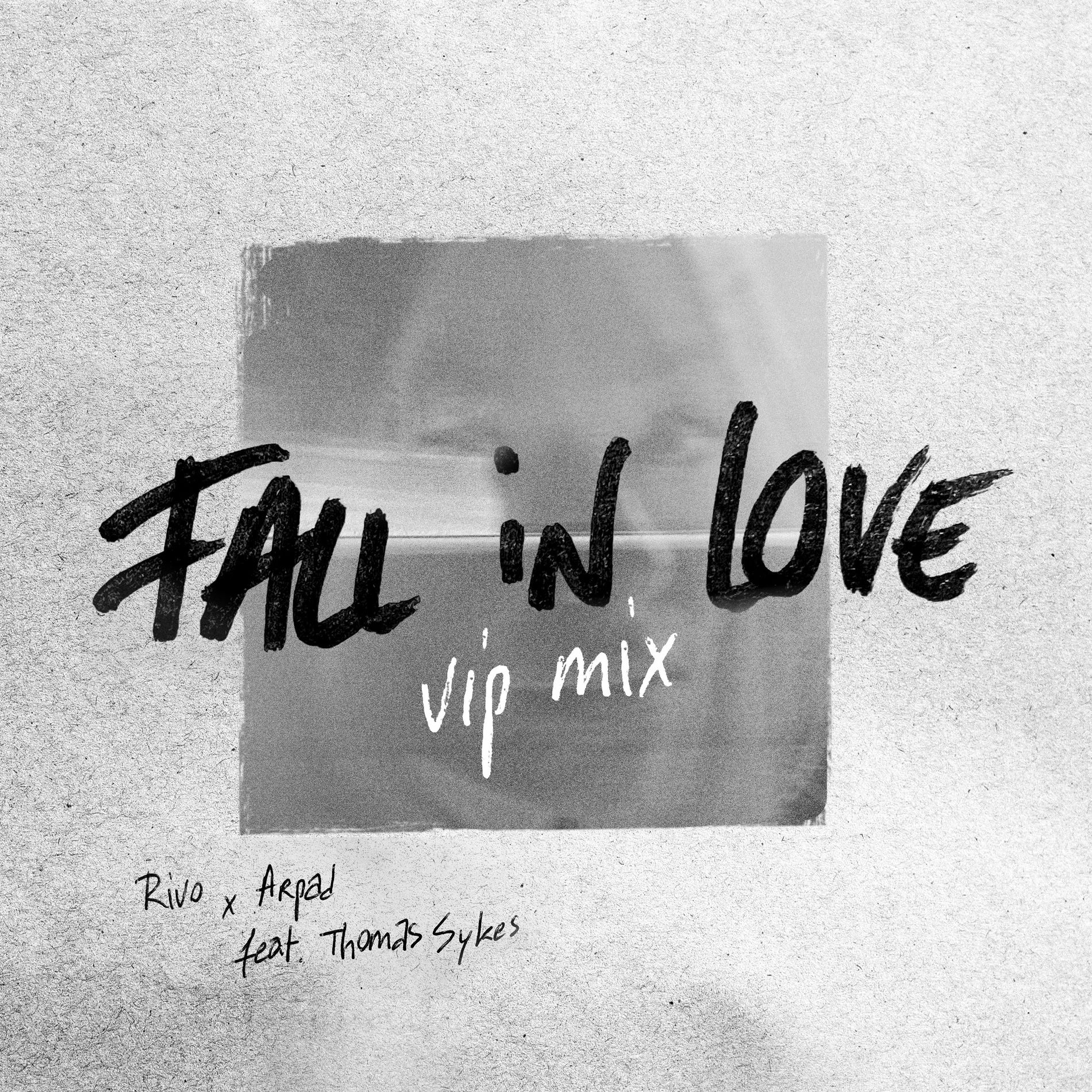 Album cover of Fall In Love (VIP Mix)