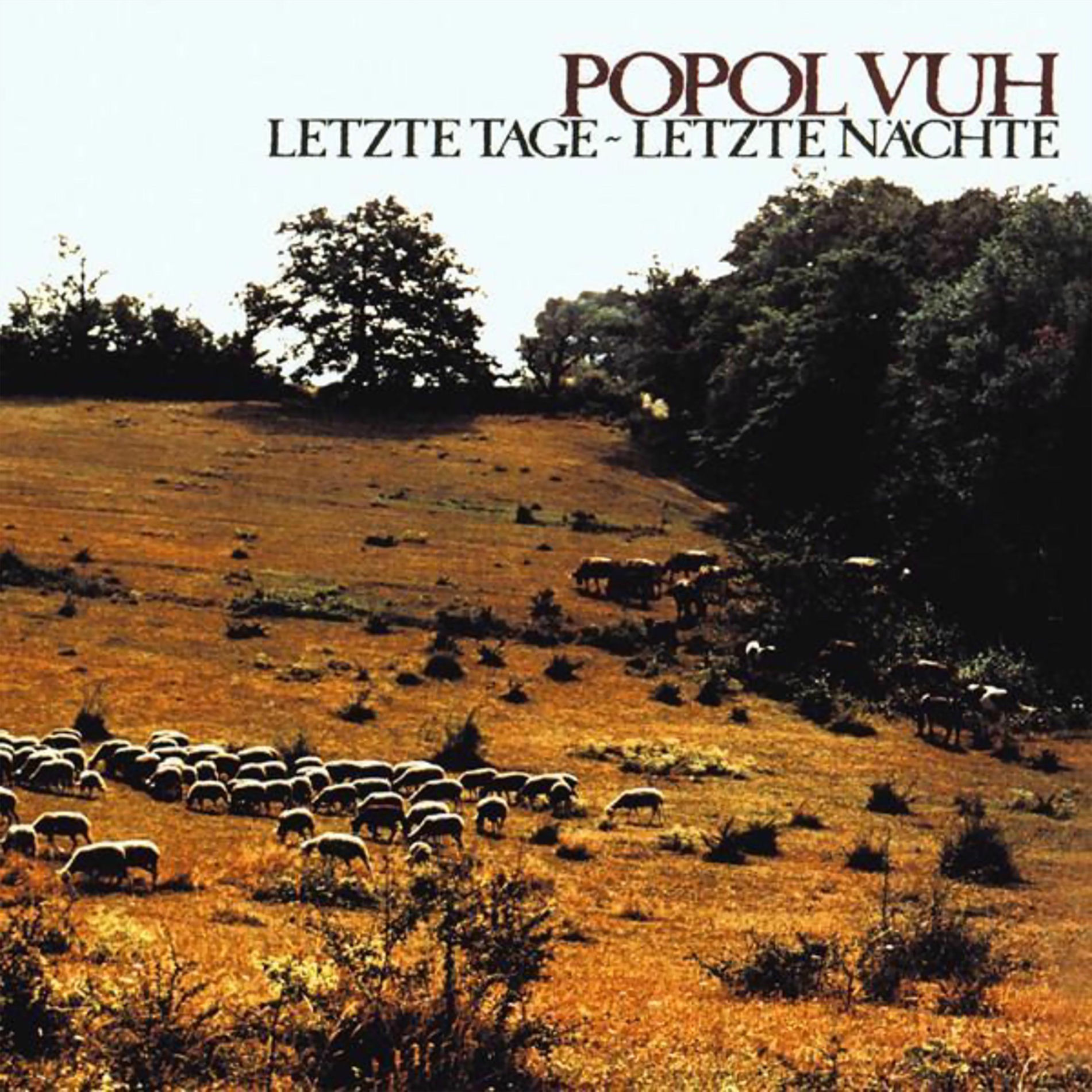Album cover of Letzte tage - letzte nächte