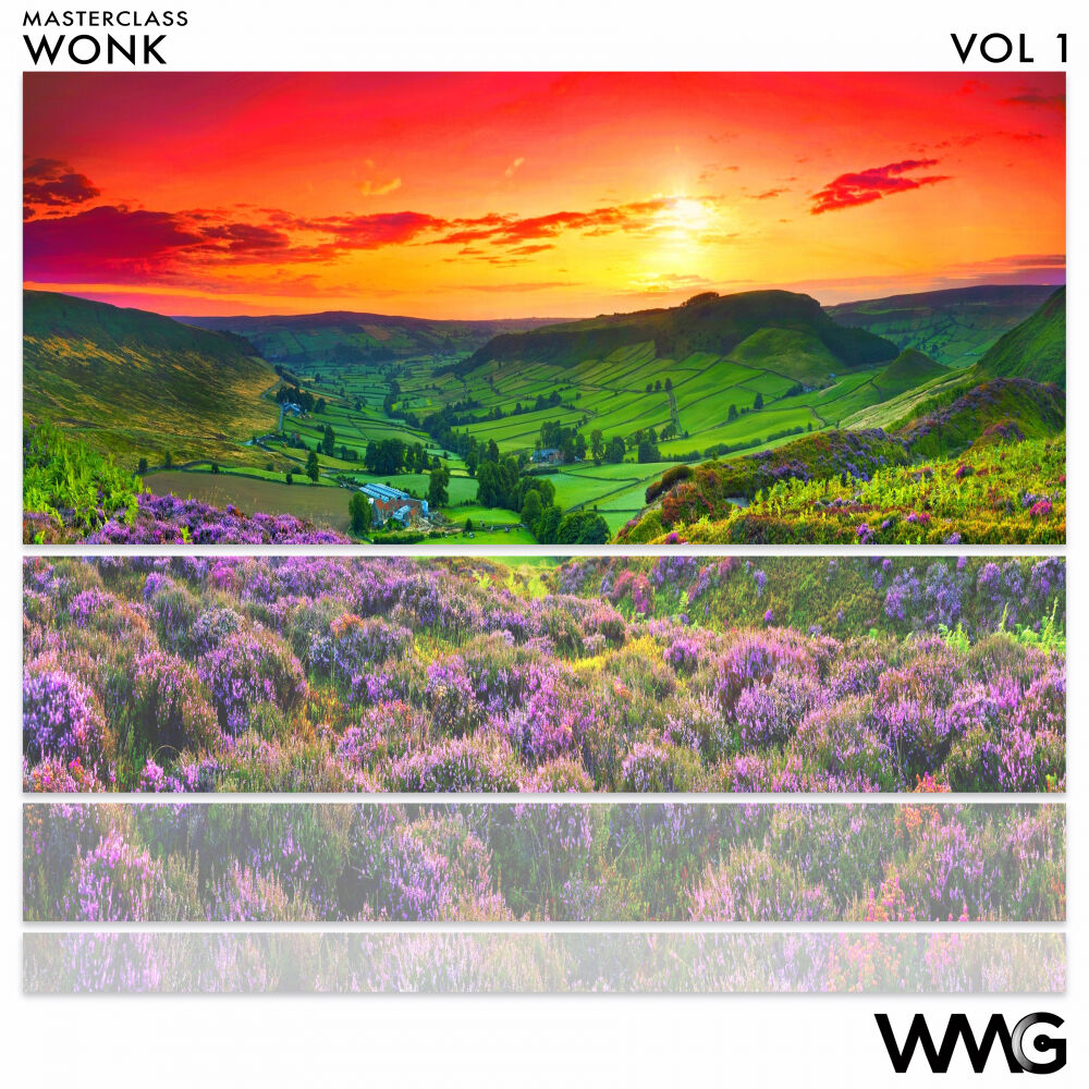 Picture of MasterClass: WoNK, Vol. 1