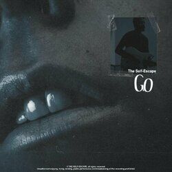 Cover of Go