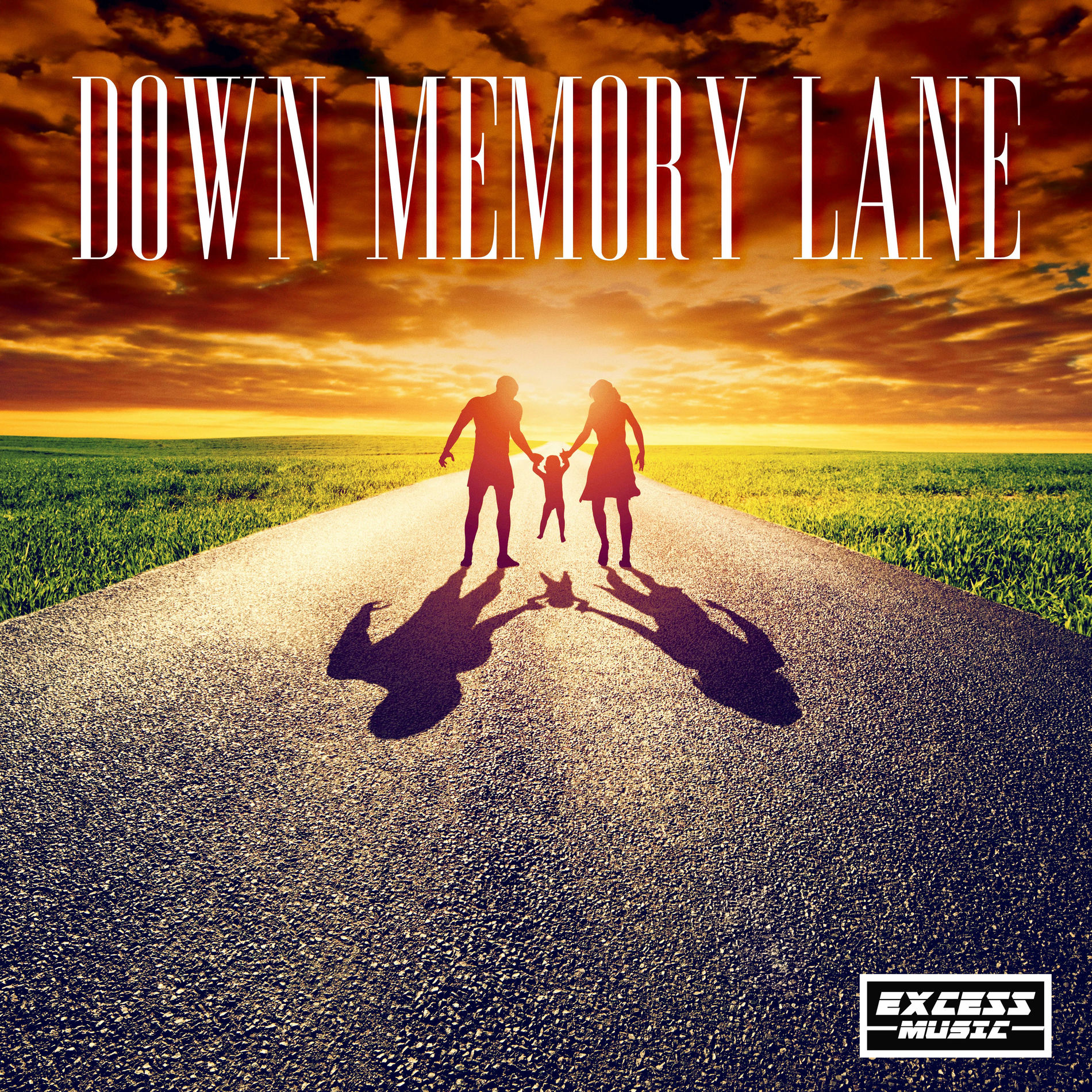 Album cover of Down Memory Lane