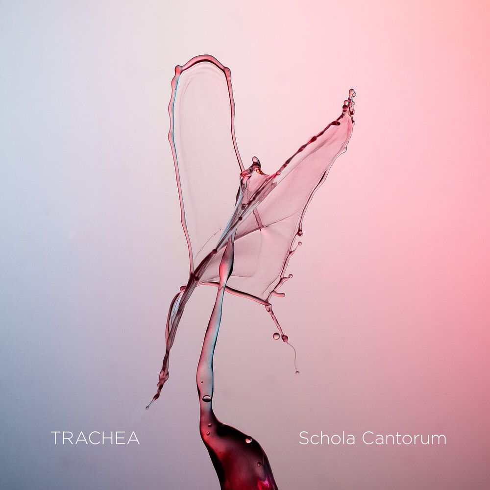 Picture of Trachea