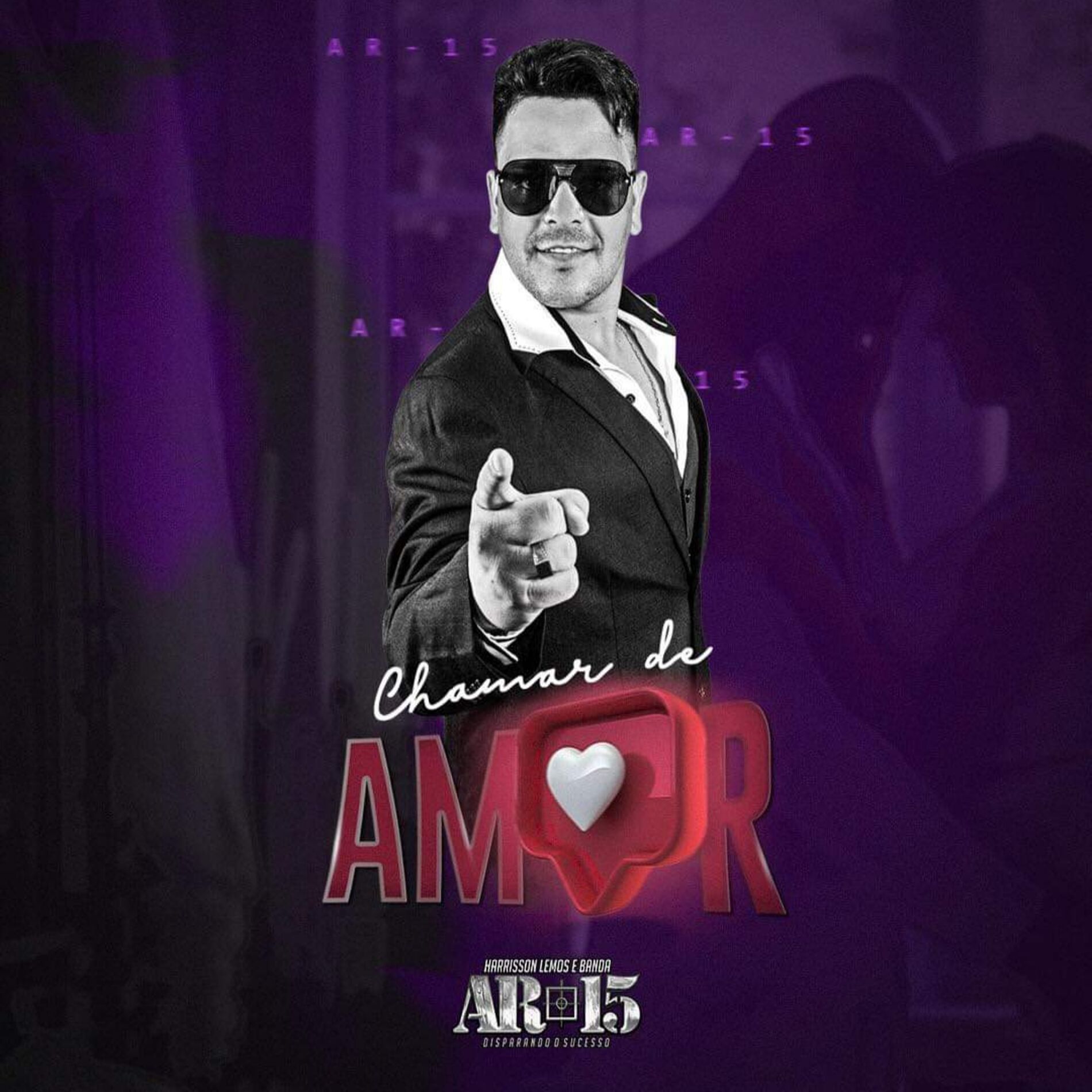 Album cover of Chamar de Amor