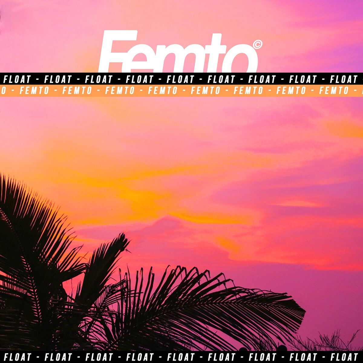 Album cover of Float