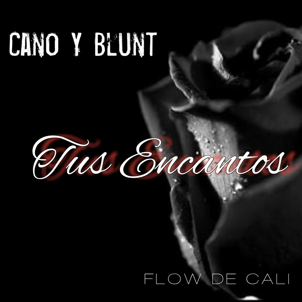 Picture of Tus Encantos