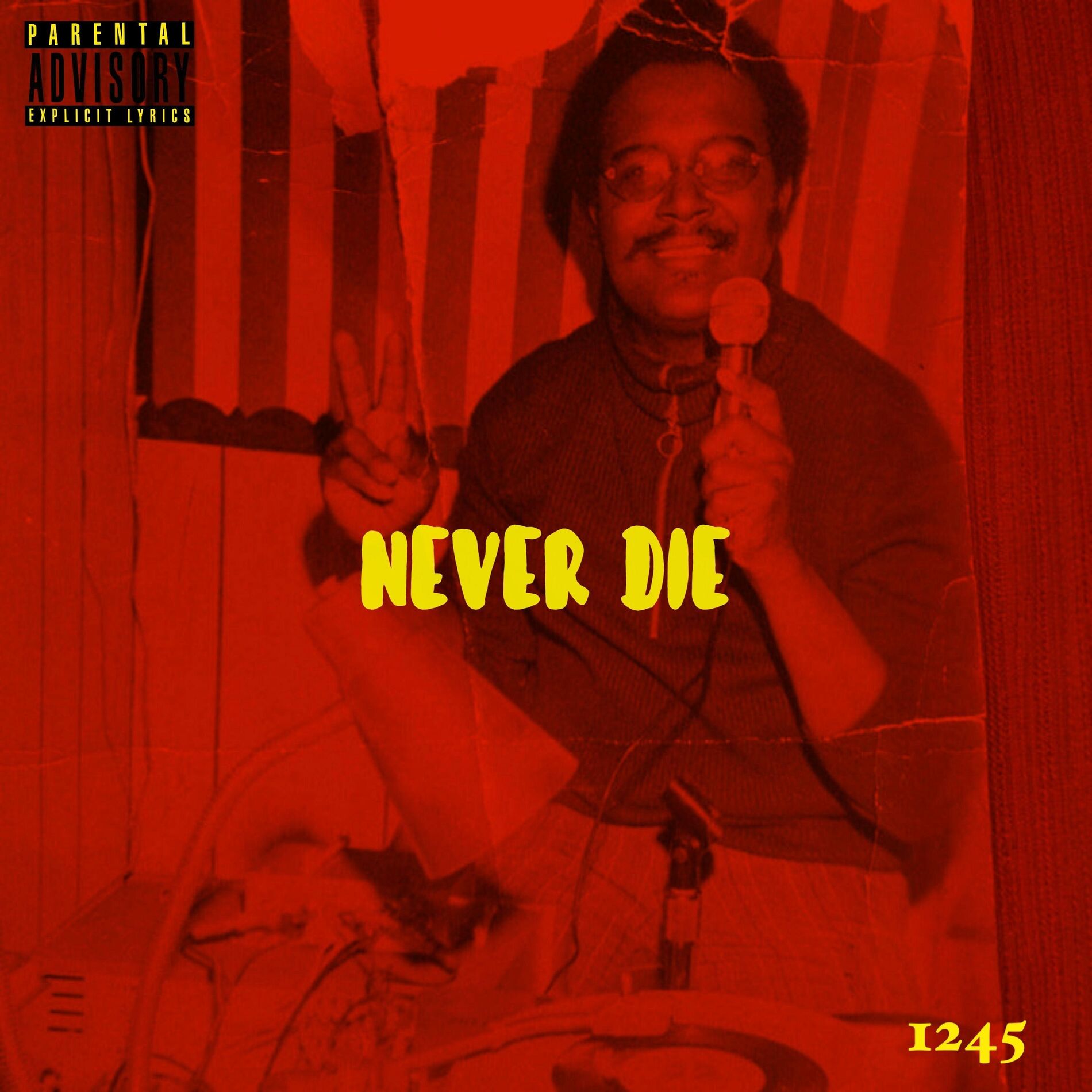 Album cover of Never Die (feat. Netherfriends & Fya Man)