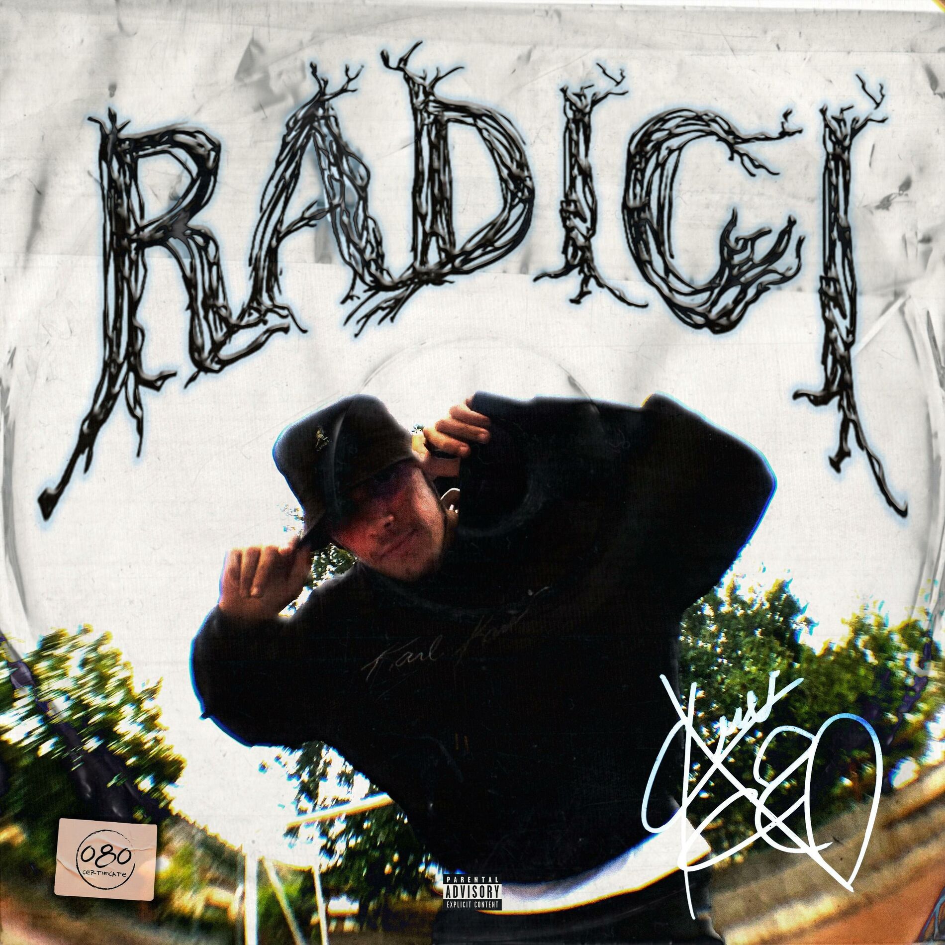 Album cover of RADICI