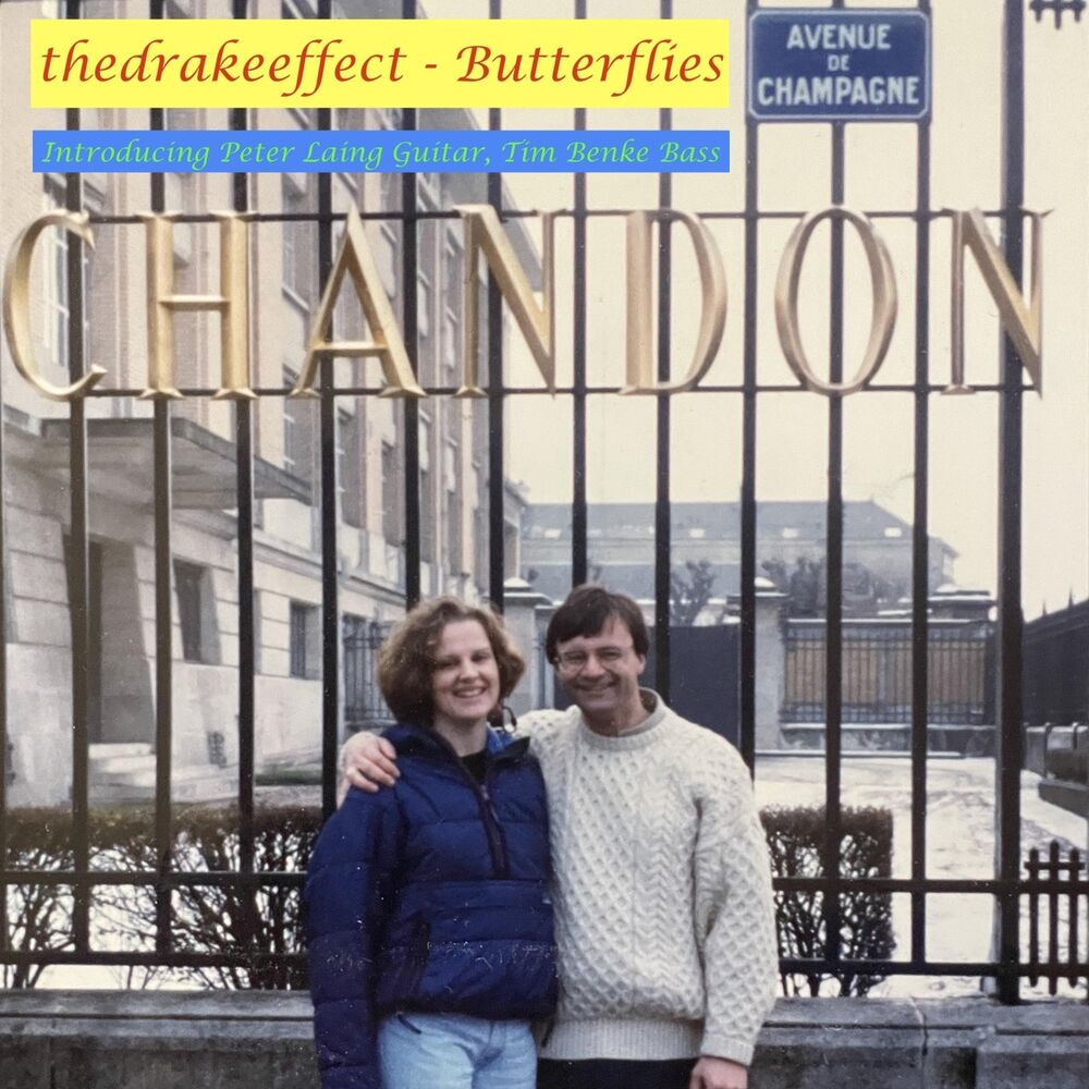 Picture of Butterflies