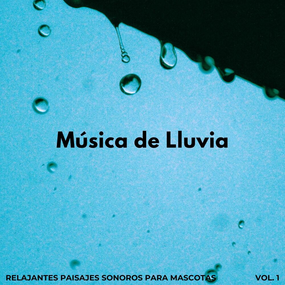 Picture of Música De Lluvia: Relajantes Paisajes Sonoros Para Mascotas Vol. 1