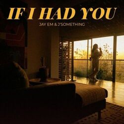 Cover of If I Had You