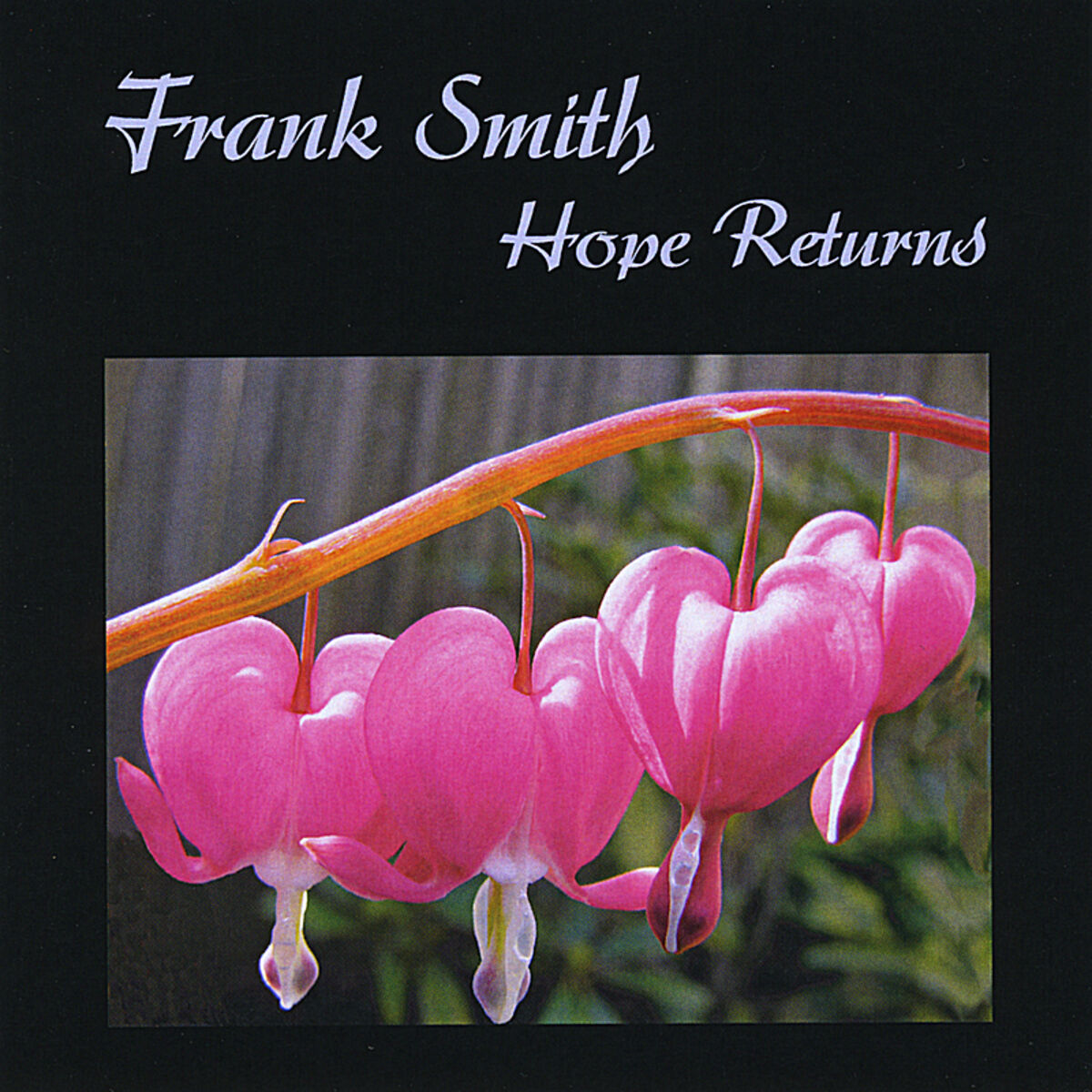 Album cover of Hope Returns