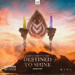 Cover of Destined To Shine