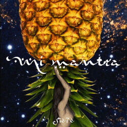 Cover of Mi Mantra