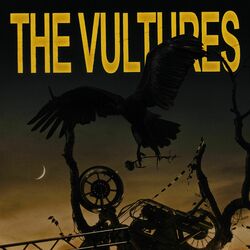 Cover of THE VULTURES