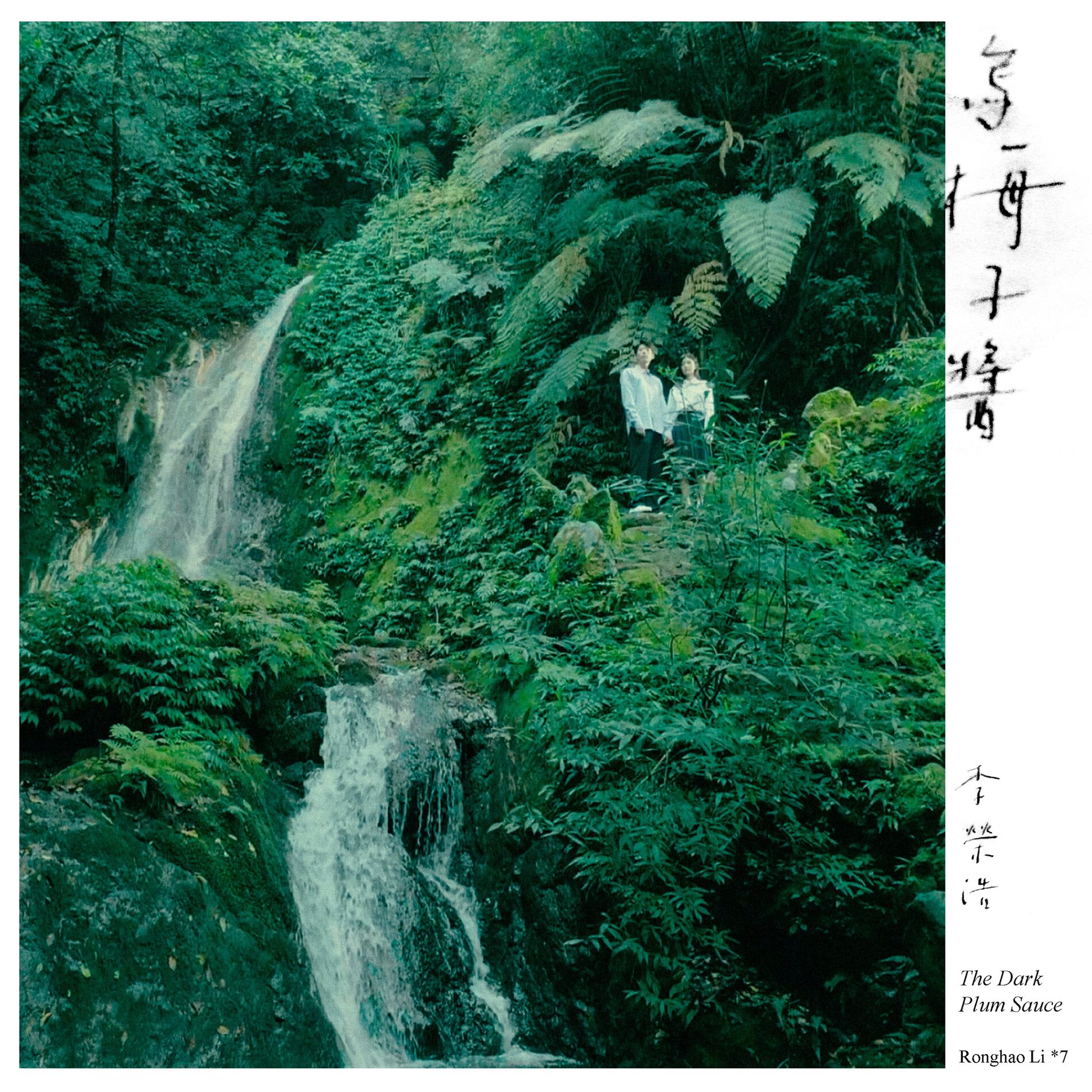 Album cover of The Dark Plum Sauce