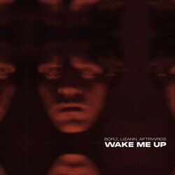 Cover of Wake Me Up