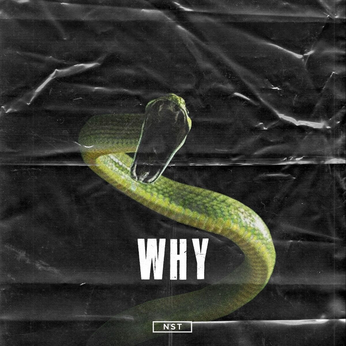 Album cover of Why