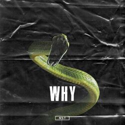 Cover of Why