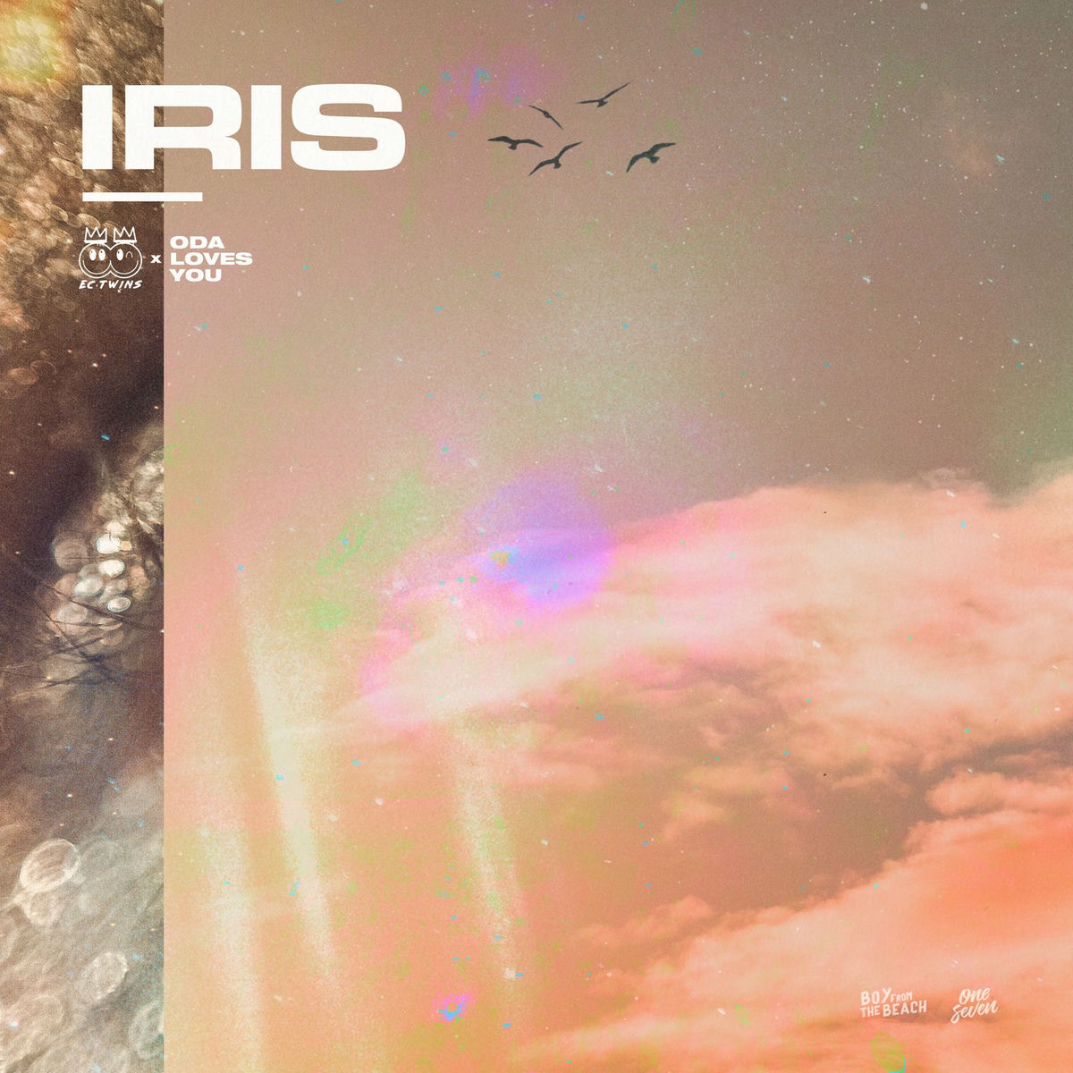 Album cover of IRIS