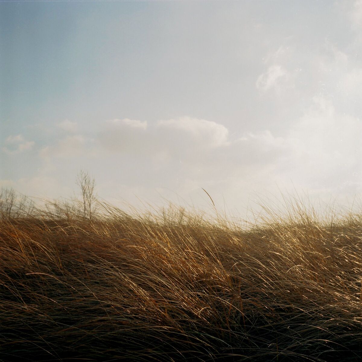 Album cover of Waltz 21