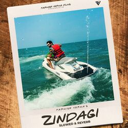 Cover of Zindagi (Slowed & Reverb)