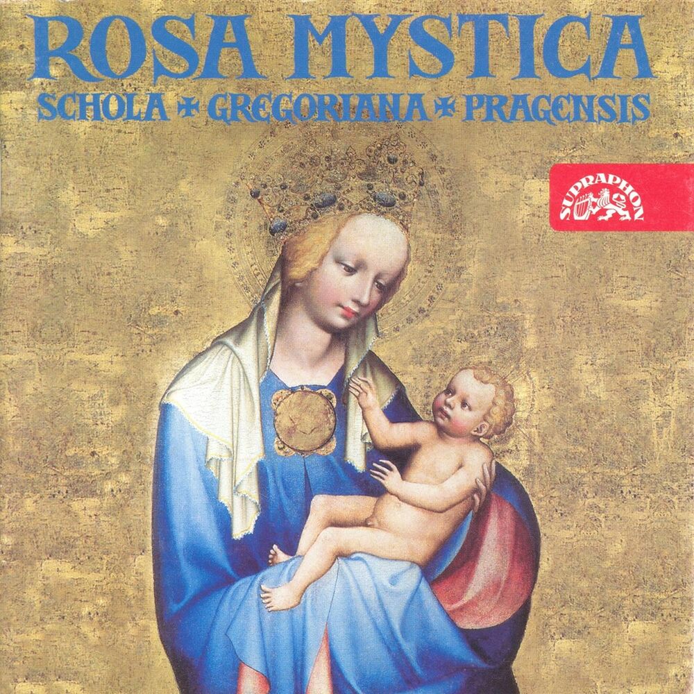 Picture of Rosa mystica