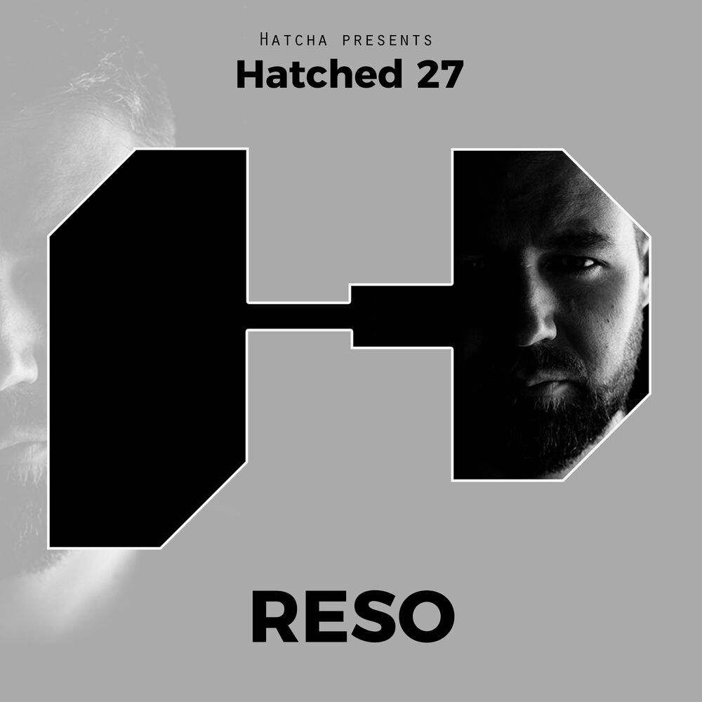 Picture of Hatched 27