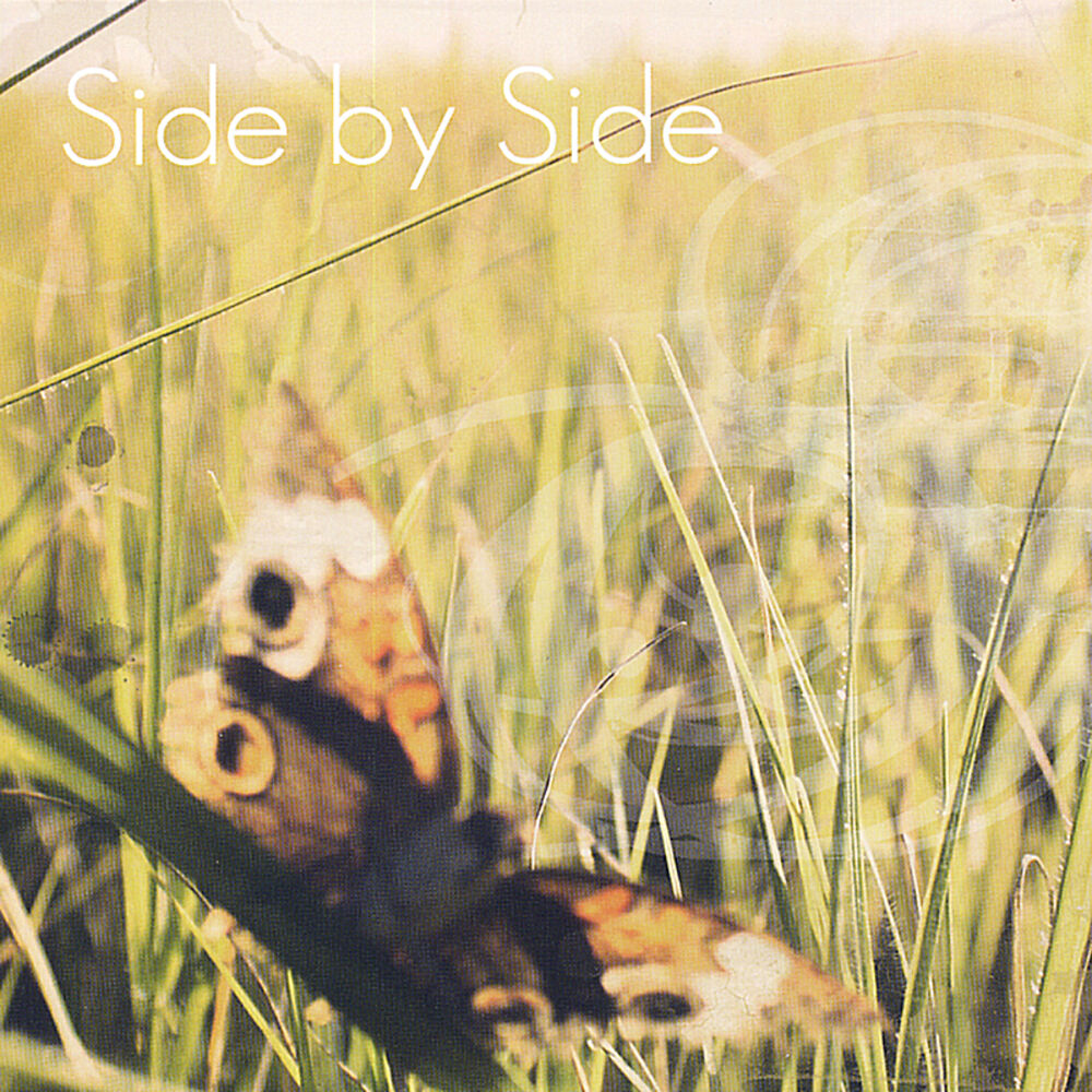 Picture of Side by Side