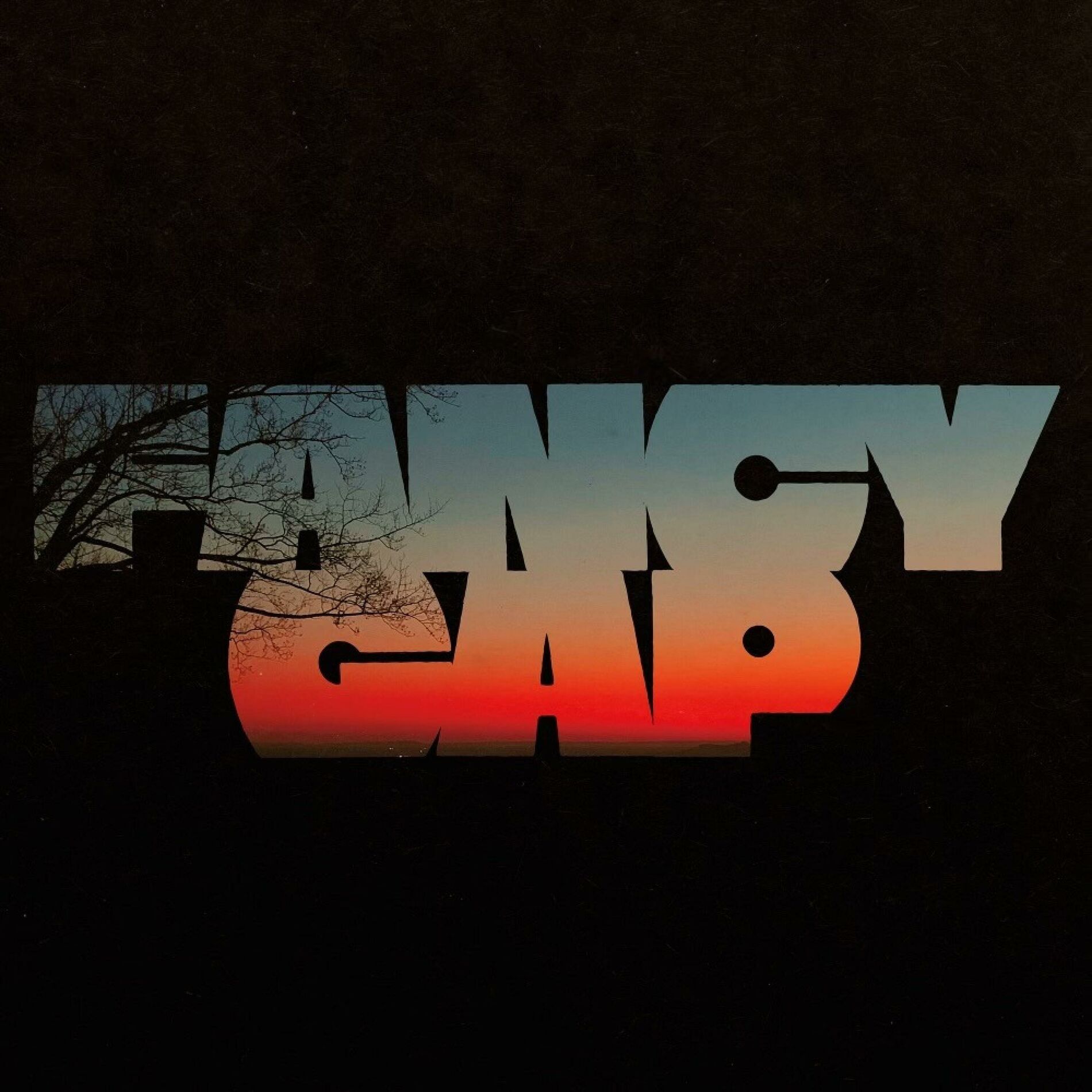 Album cover of Fancy Gap
