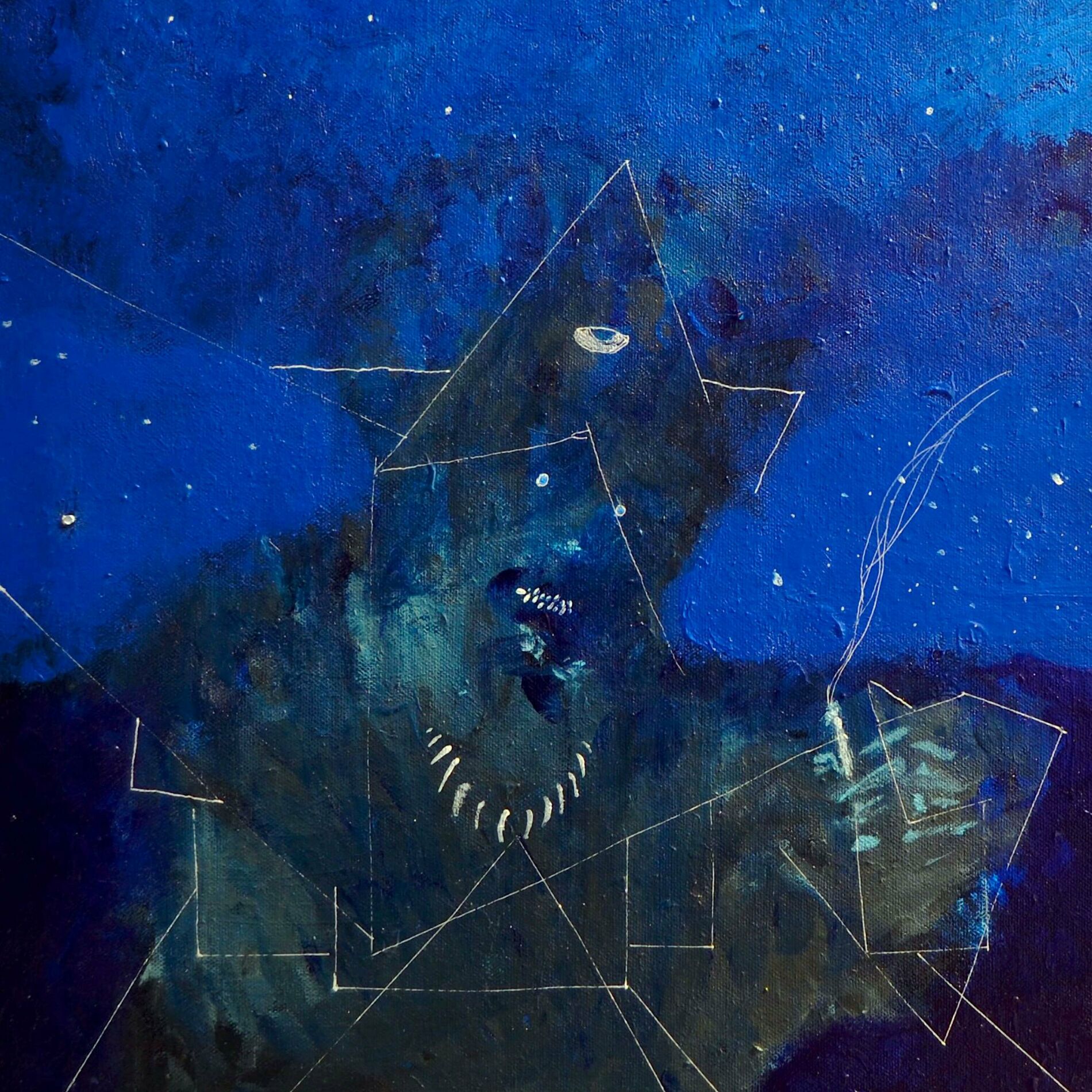 Album cover of STRIGOI