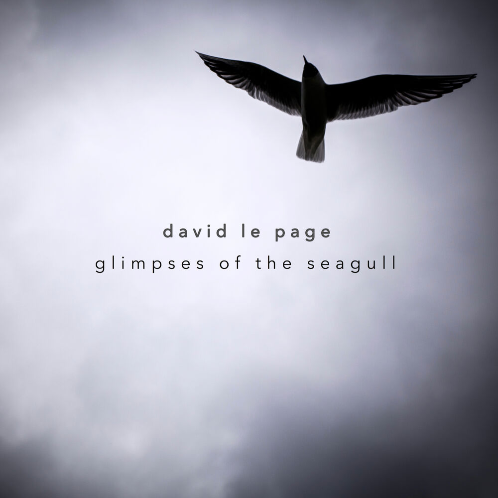 Picture of Glimpses of the Seagull