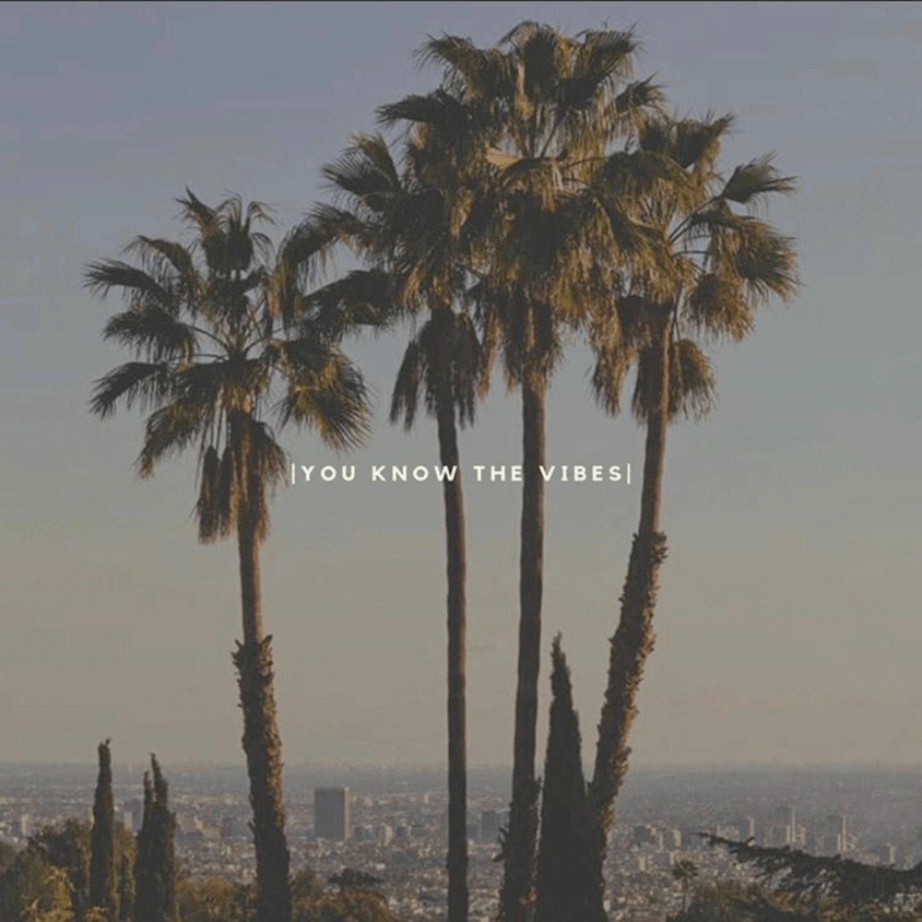 Album cover of You Know The Vibes