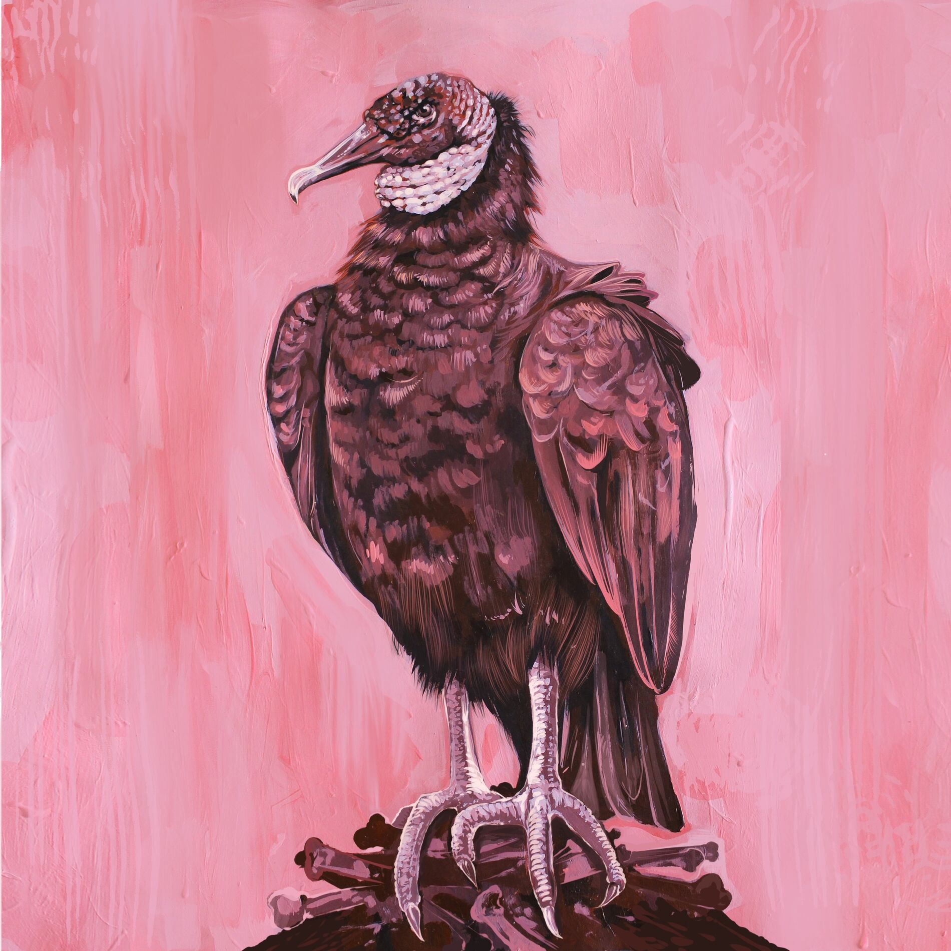 Album cover of La Sentada