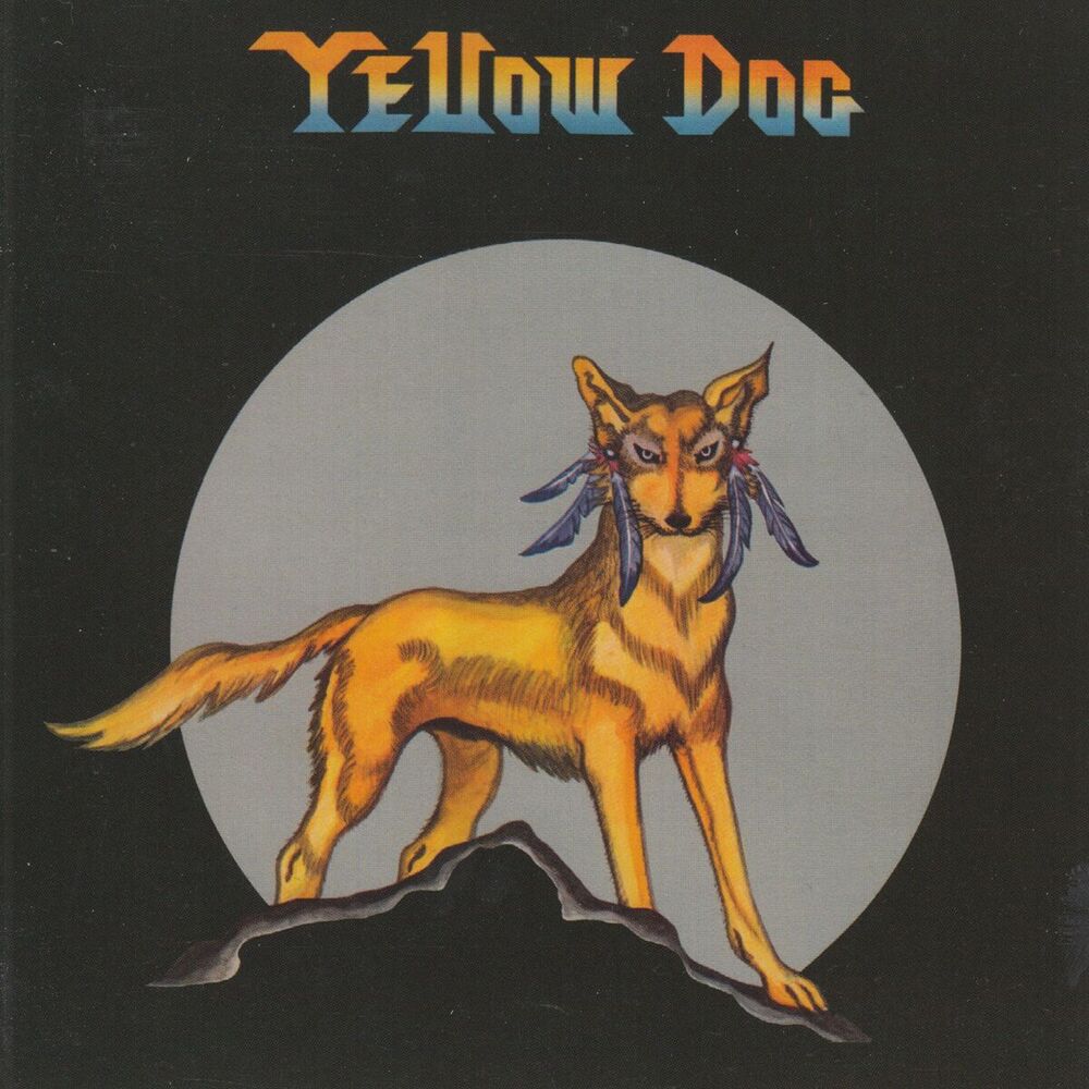 Picture of Yellow Dog