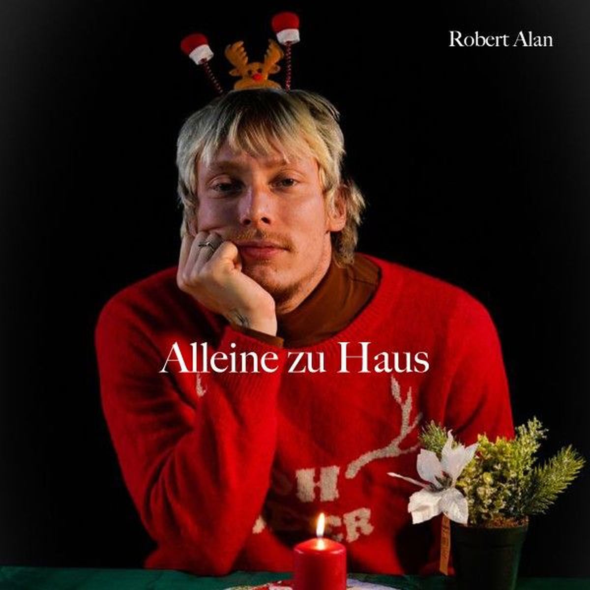 Album cover of Alleine zu Haus