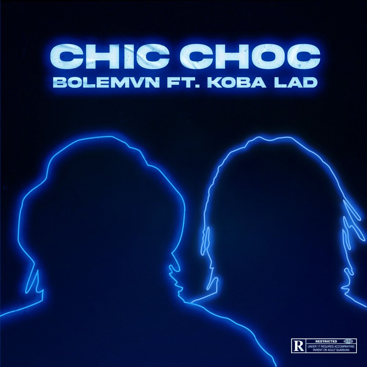 Album cover of Chic choc