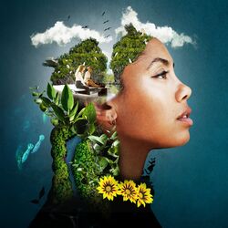 Cover of If We Only Knew (From the Documentary Film "Blue Carbon”)