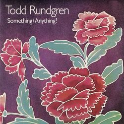 Cover of Something / Anything?