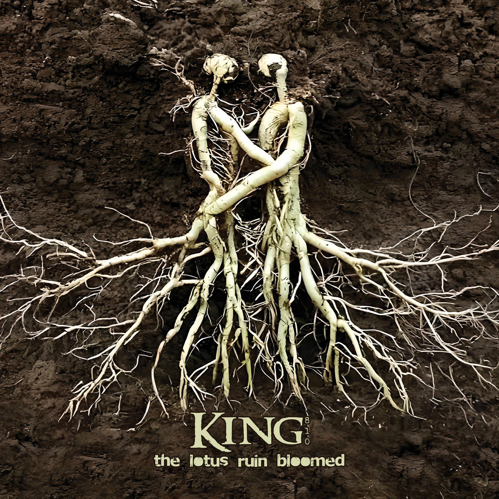 Album cover of The lotus ruin bloomed