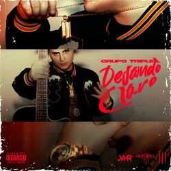 Cover of Dejando Claro