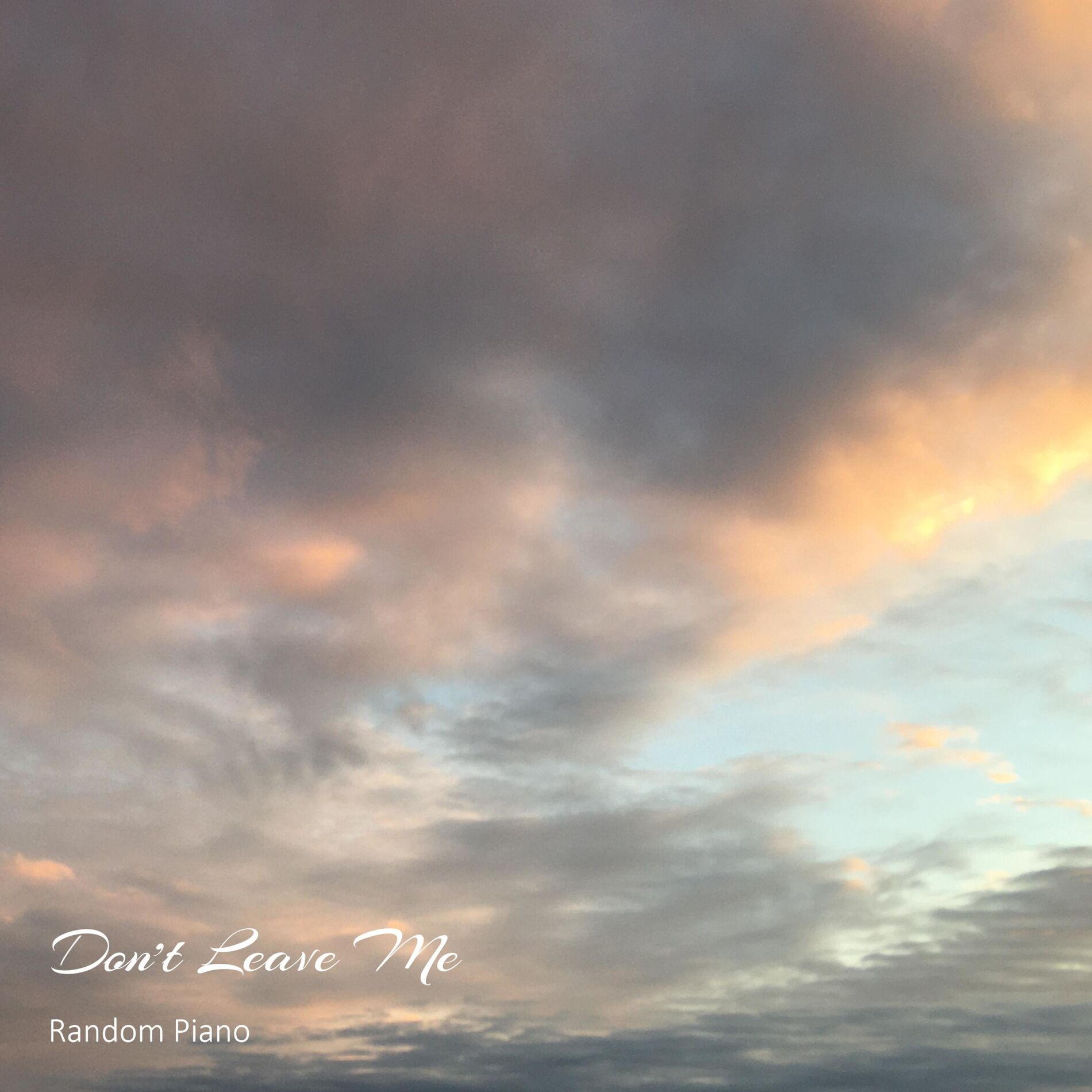 Album cover of Don't Leave Me