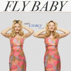 Cover of Fly Baby