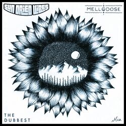 Cover of The Dubbest