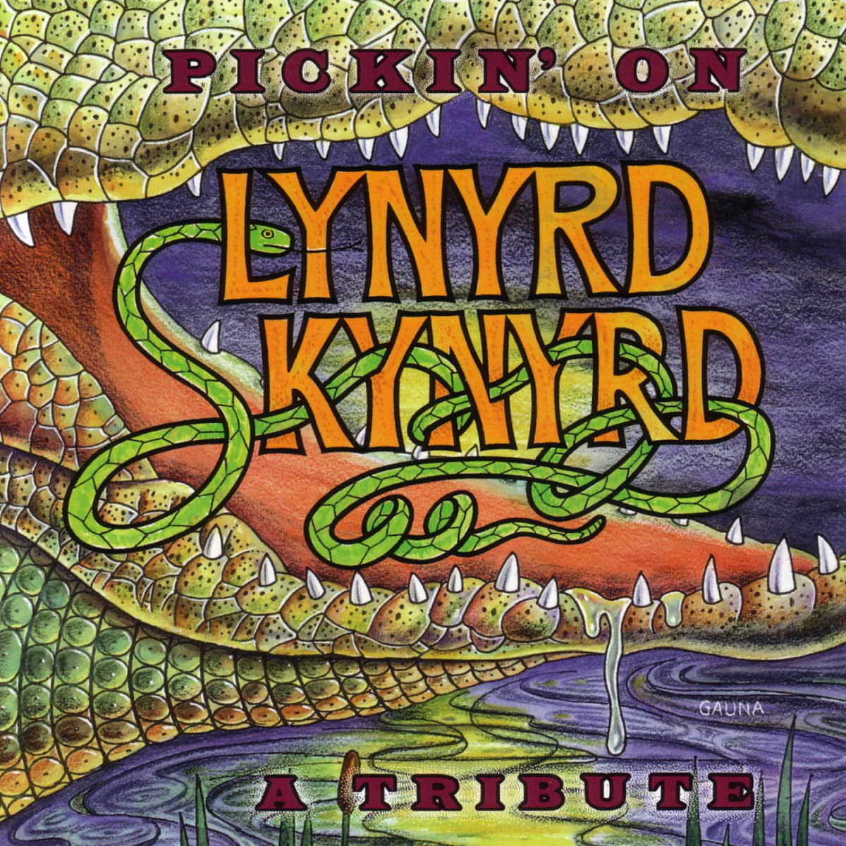 Album cover of Pickin' On Lynyrd Skynyrd - A Tribute